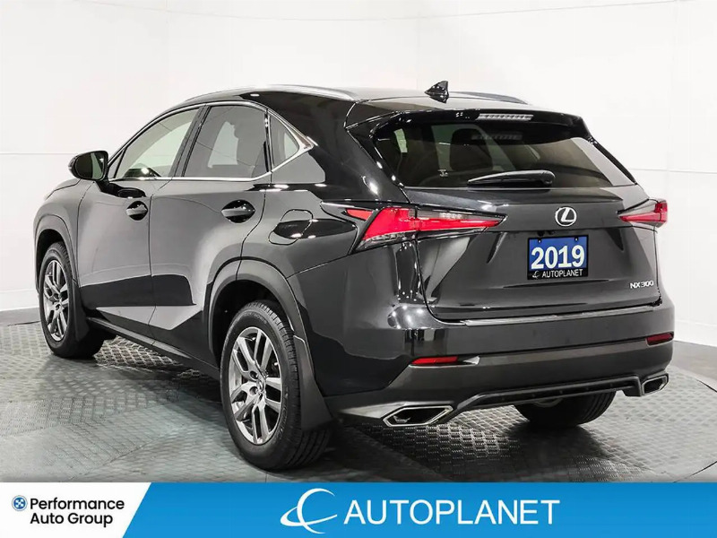 car Lexus NX Series id340814 photo #5