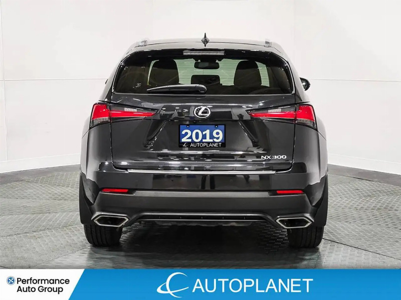 car Lexus NX Series id340814 photo #6