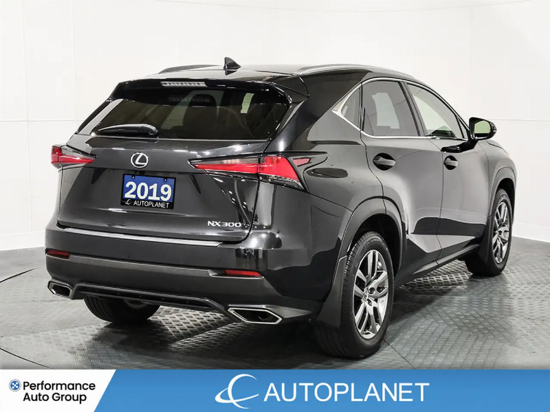 car Lexus NX Series id340814 photo #7
