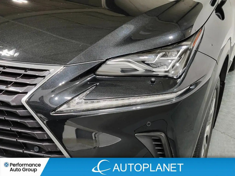 car Lexus NX Series id340814 photo #9