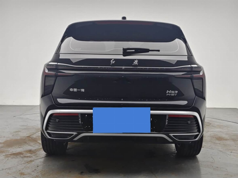 car Hongqi HS3 id341049 photo #6