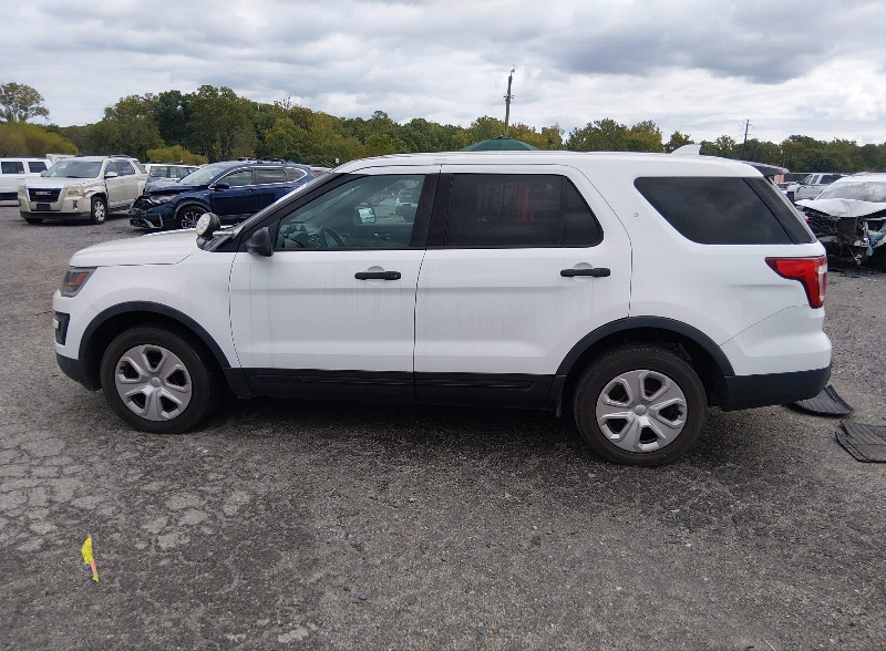 car Ford UTILITY id342152 photo #15