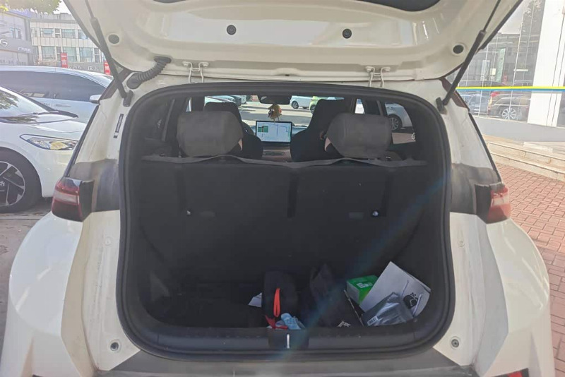 car Byd Seagull id342584 photo #4