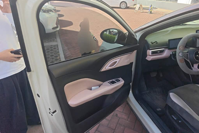 car Byd Seagull id342584 photo #7