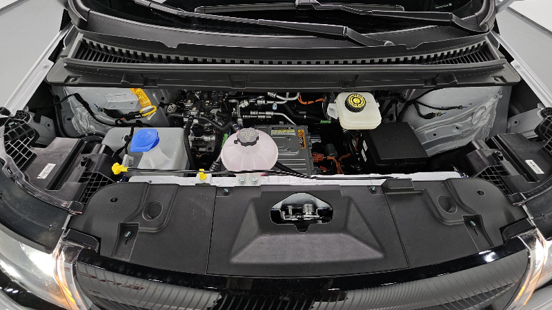 car Byd Dolphin id343302 photo #6