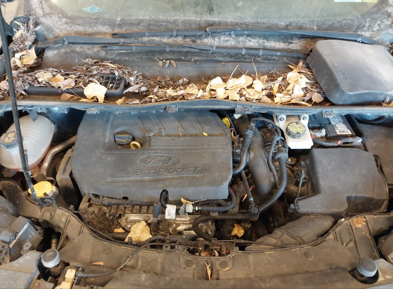 car Ford Escape id345140 photo #10