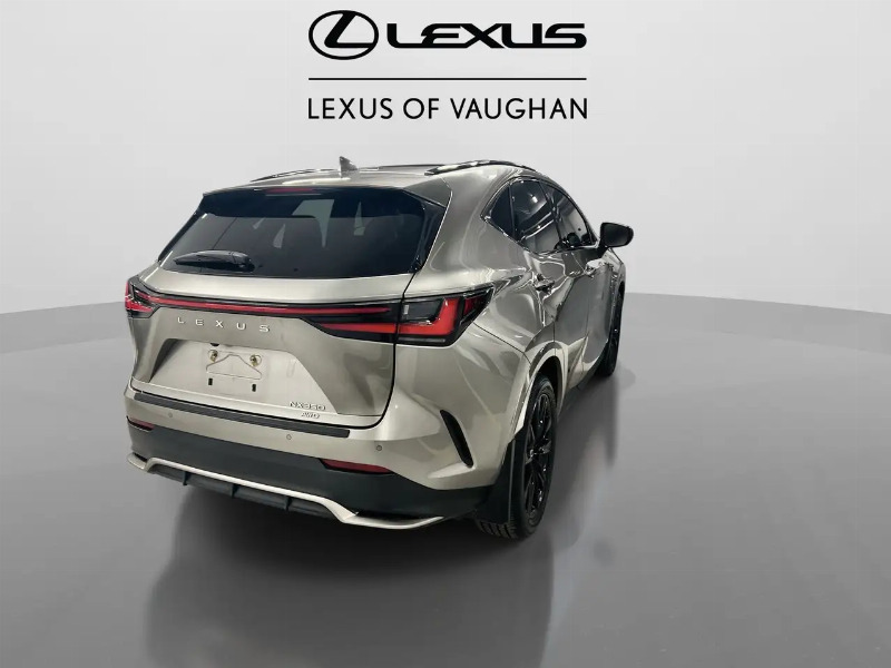 car Lexus NX Series id345268 photo #8