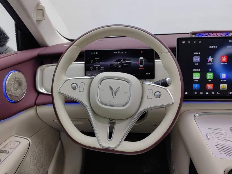 car Voyah Dream id346731 photo #11