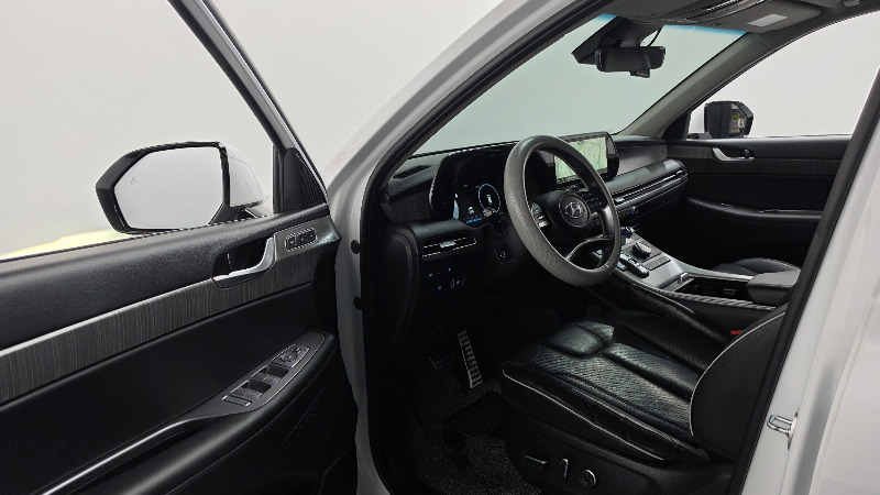car Hyundai Palisade id348799 photo #10