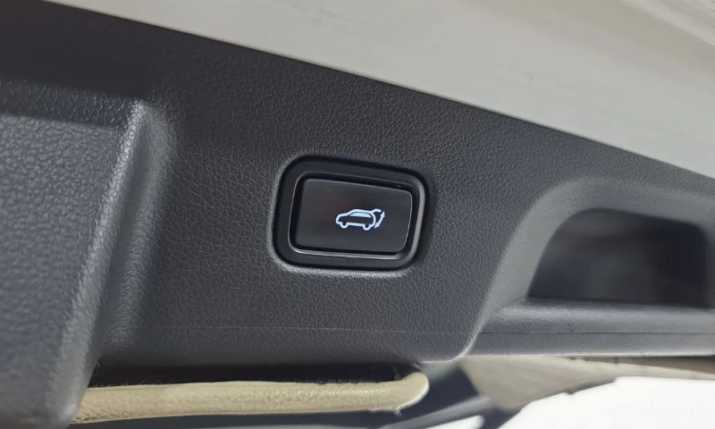 car Hyundai Palisade id348922 photo #19