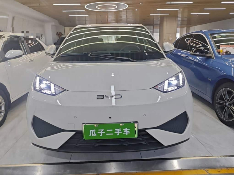 car Byd Seagull id349209 photo #3