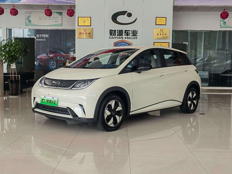 car Byd Dolphin id349217 main photo