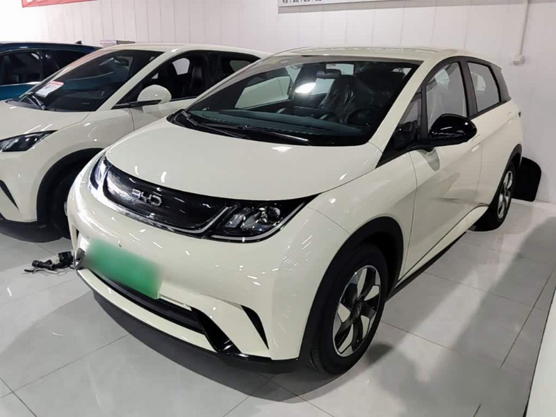 car Byd Dolphin id349308 main photo