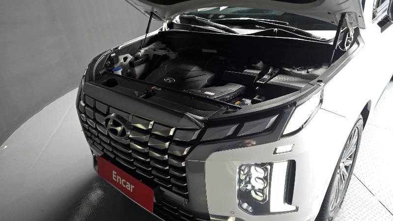 car Hyundai Palisade id349569 photo #6