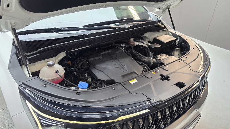 car KIA Carnival id349749 photo #6