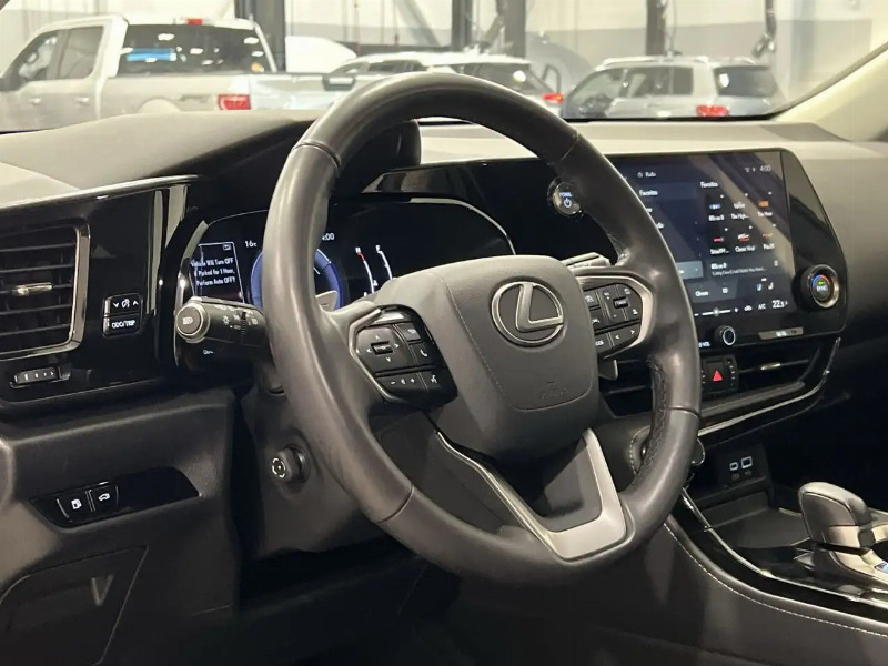 car Lexus NX Series id349869 photo #10