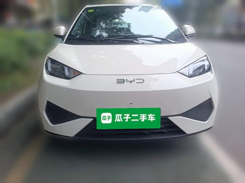 car Byd Seagull id349982 photo #2
