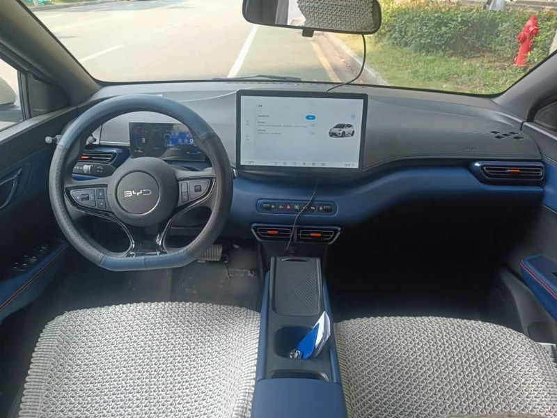 car Byd Seagull id349982 photo #5