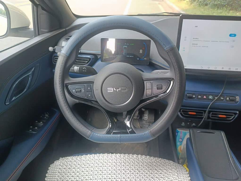 car Byd Seagull id349982 photo #6