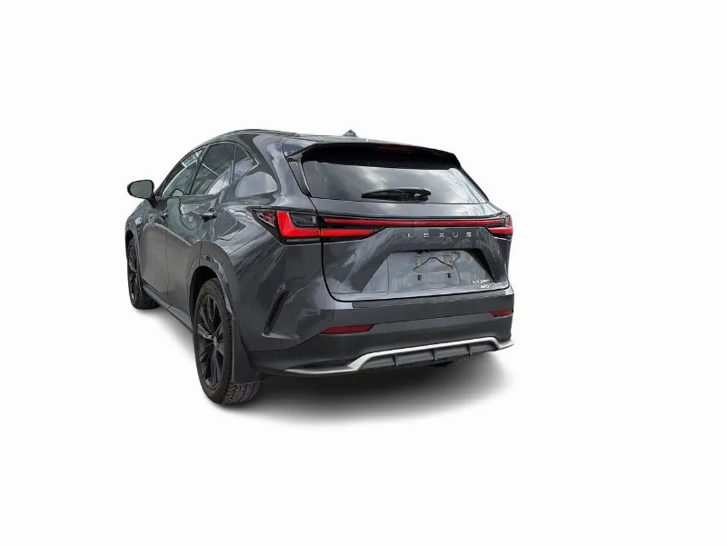 car Lexus NX Series id352142 photo #10