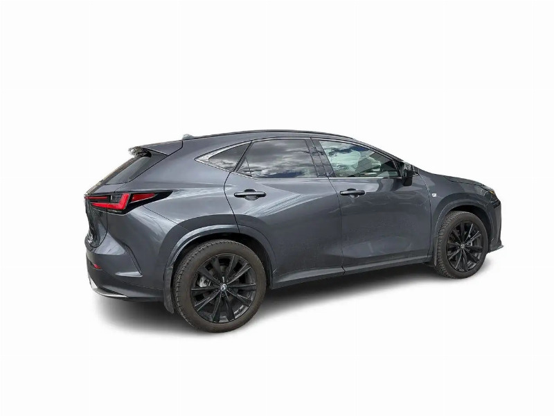 car Lexus NX Series id352142 photo #14