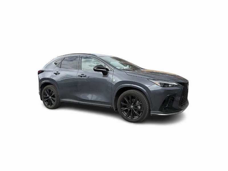 car Lexus NX Series id352142 photo #16