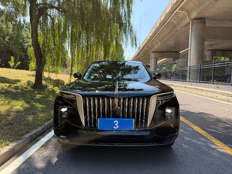 car Hongqi E-HS9 id352271 photo #2