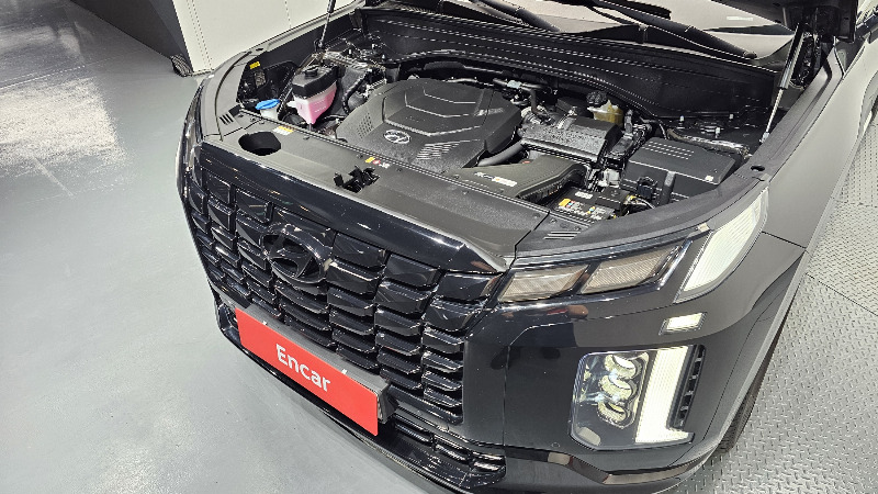 car Hyundai Palisade id353127 photo #6