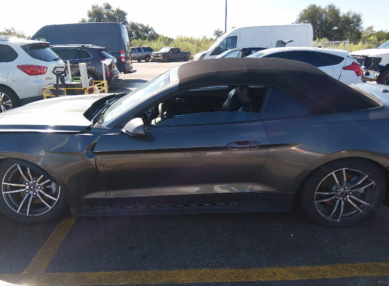 car Ford Mustang id354989 photo #14