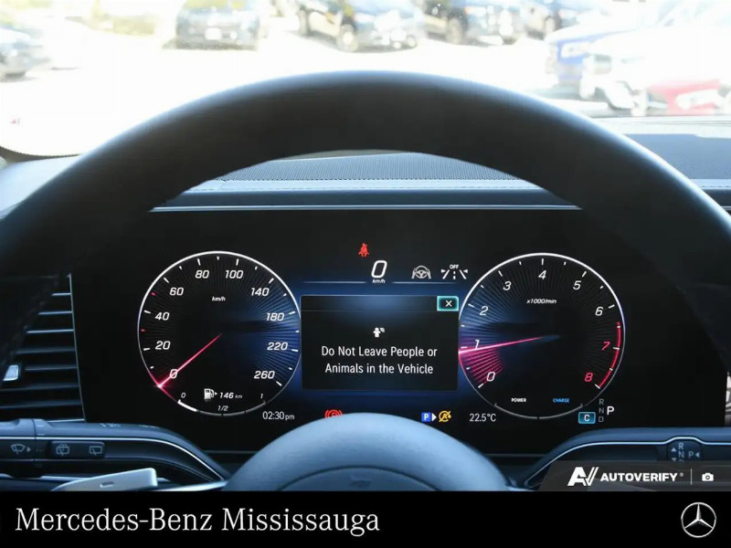 car Mercedes GLE id356135 photo #8