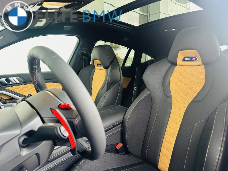 car BMW X6 id356883 photo #5