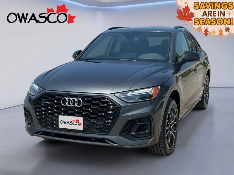 car Audi Q5 id357011 main photo
