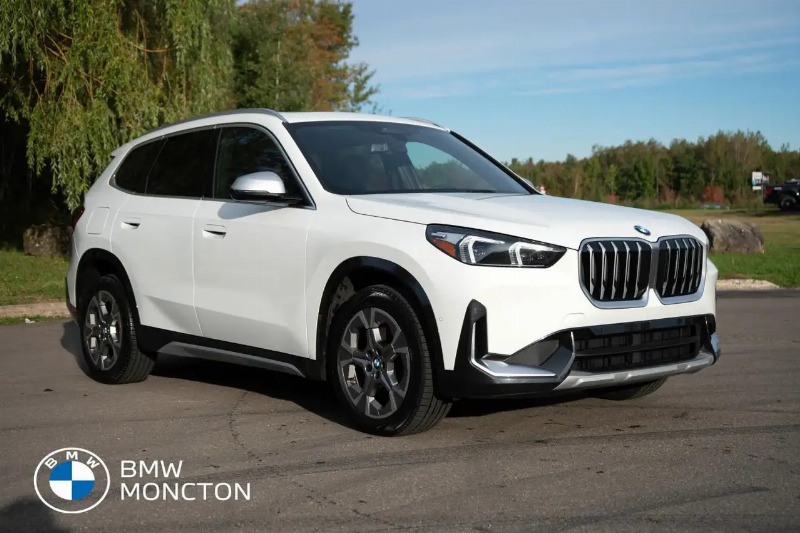 car BMW X1 id357447 main photo