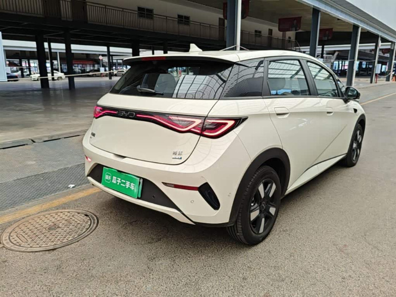 car Byd Dolphin id358844 photo #7