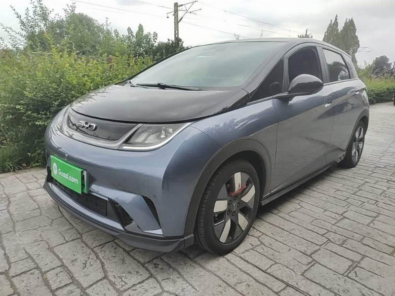 car Byd Dolphin id359059 main photo