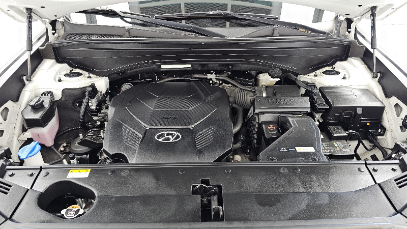 car Hyundai Palisade id361671 photo #6