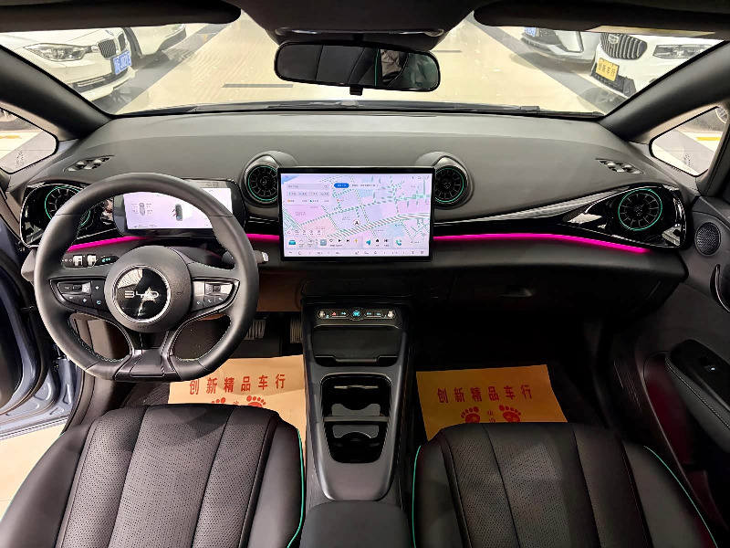 car Byd Dolphin id363775 photo #7