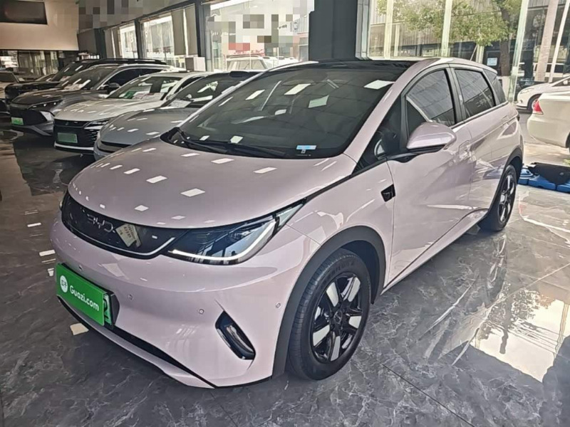car Byd Dolphin id363964 main photo