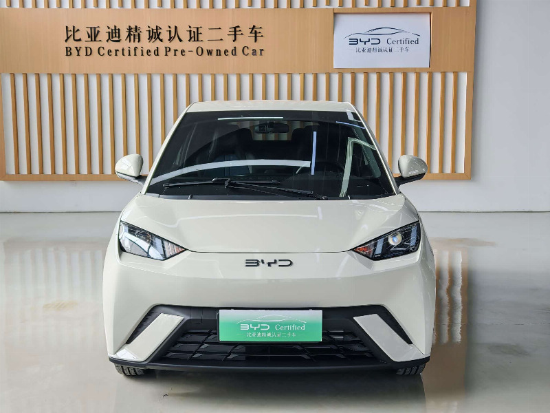 car Byd Seagull id364041 photo #2