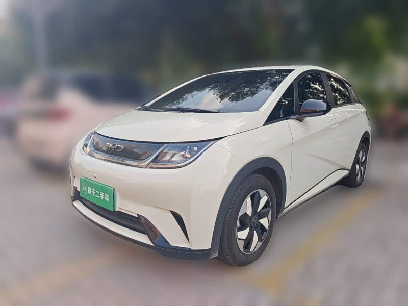 car Byd Dolphin id364123 main photo