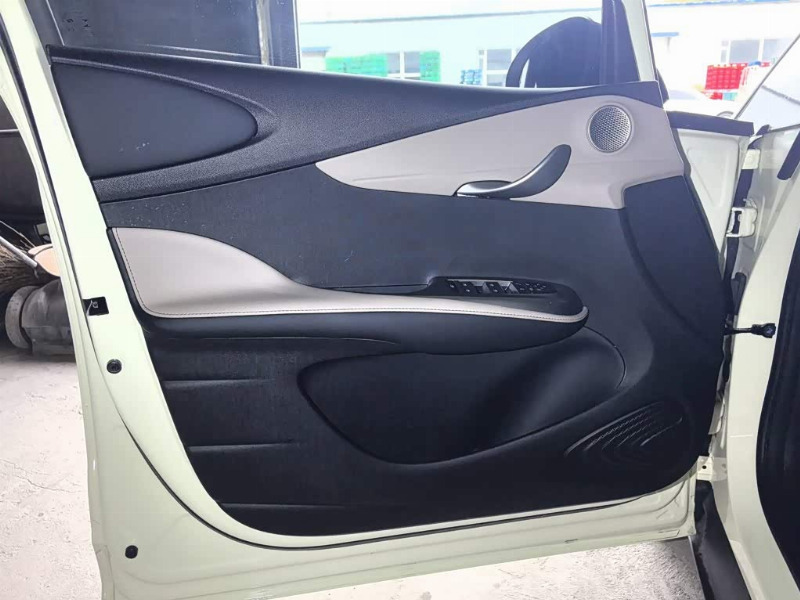 car Byd Dolphin id364123 photo #15