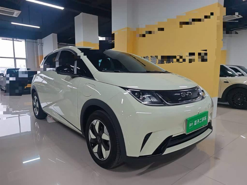 car Byd Dolphin id365014 photo #4