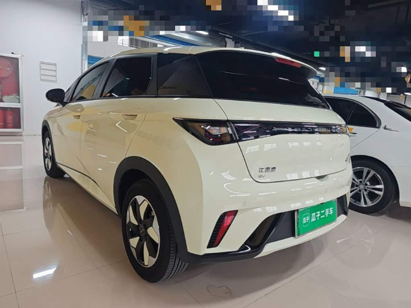 car Byd Dolphin id365014 photo #5