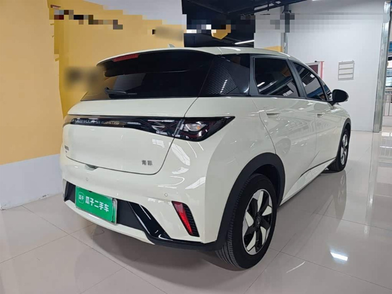 car Byd Dolphin id365014 photo #7