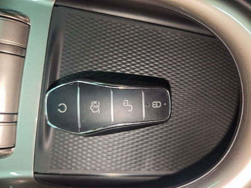 car Byd Dolphin id365014 photo #9