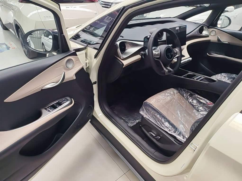 car Byd Dolphin id365015 photo #16