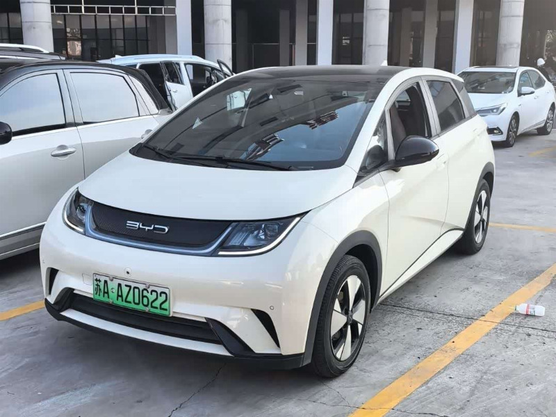 car Byd Dolphin id365255 main photo
