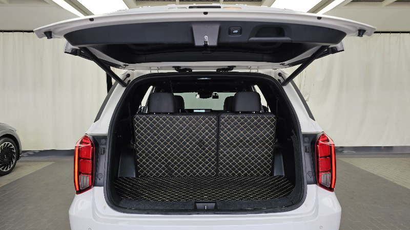 car Hyundai Palisade id366561 photo #20