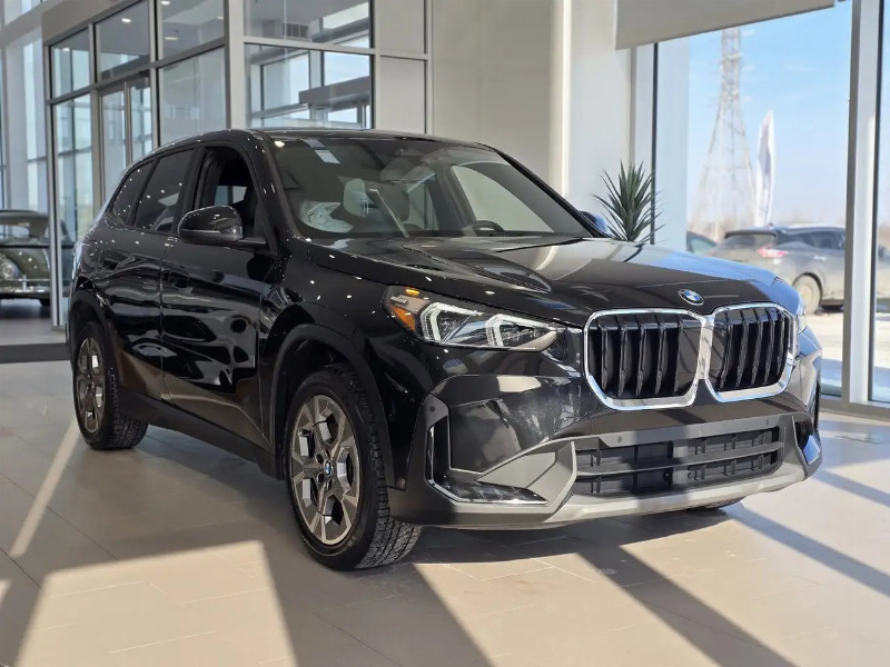 car BMW X1 id367041 main photo