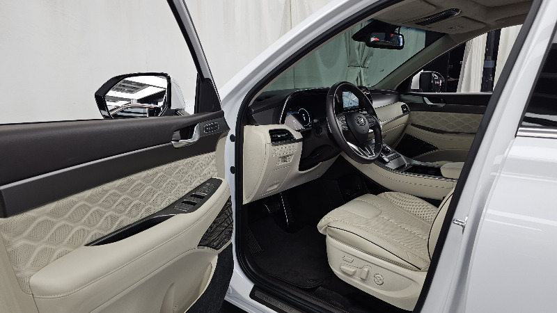 car Hyundai Palisade id367973 photo #10